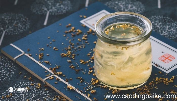 秋花之香者莫能如桂文言文翻译 桂的译文