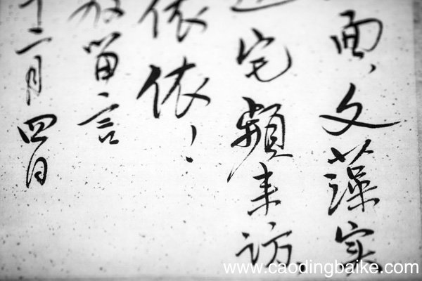 草圣是谁 被誉为草圣的是