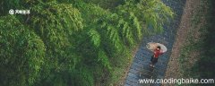 饮湖上初晴后雨的诗意 “饮湖上初晴后雨”的诗意是什么