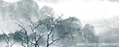 霜树尽空枝,肠断丁香结的意思 霜树尽空枝肠断丁香结的意思是