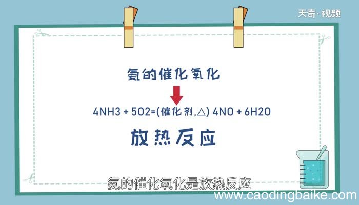 氨的化学性质 氨有什么化学性质