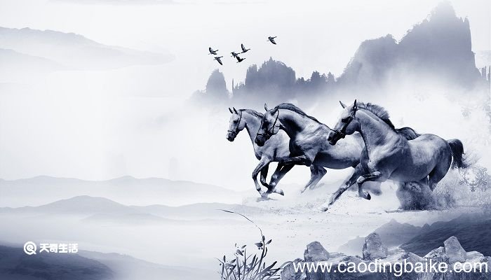 伯乐怜马告诉我们什么道理 伯乐怜马寓言故事的寓意
