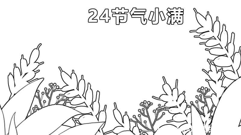 24节气小满手抄报 24节气小满手抄报画法