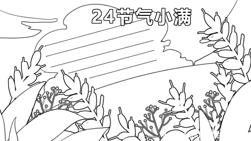 24节气小满手抄报 24节气小满手抄报画法