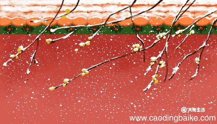 雪梅的思想感情 雪梅的中心是什么