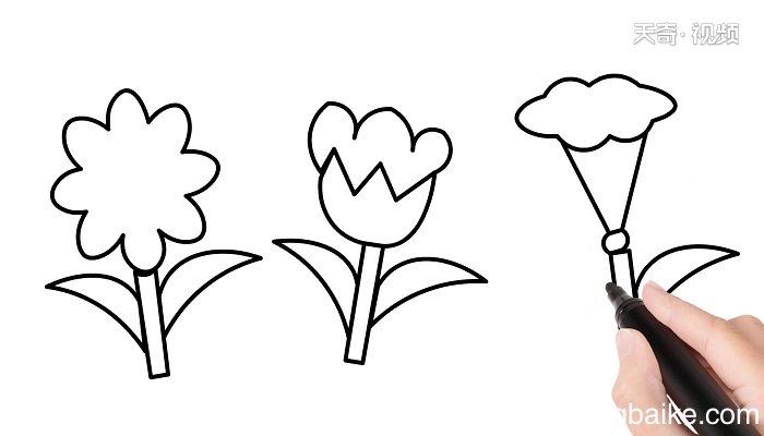 各种花简笔画 各种花简笔画怎么画