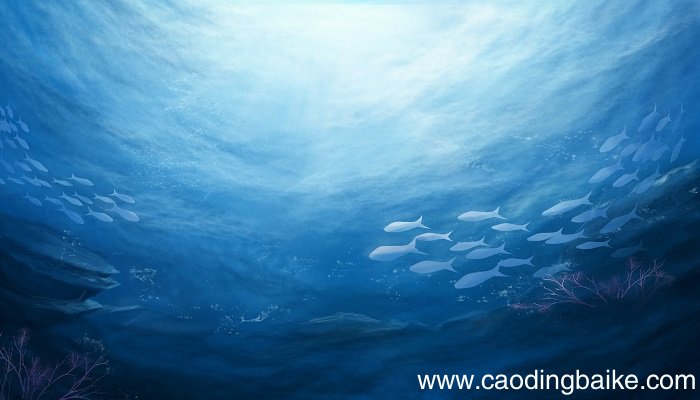 海底世界课文从哪几个方面介绍海底世界的 课文从哪些方面介绍海底世界