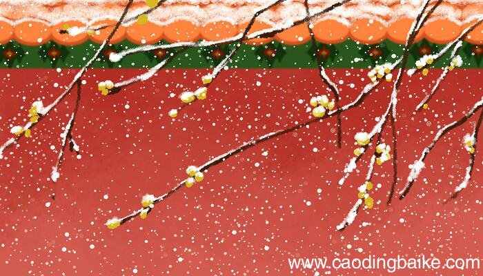 大片大片的雪花从空中不断地飘落缩句 大片大片的雪花从空中不断地飘落怎么缩句