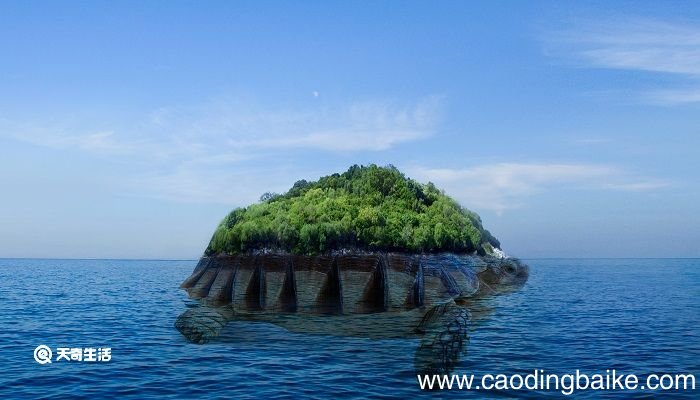 富饶的西沙群岛表达了作者什么感情 富饶的西沙群岛课文分析