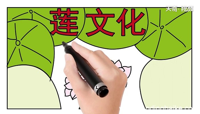 莲文化的魅力手抄报 莲文化的魅力画报