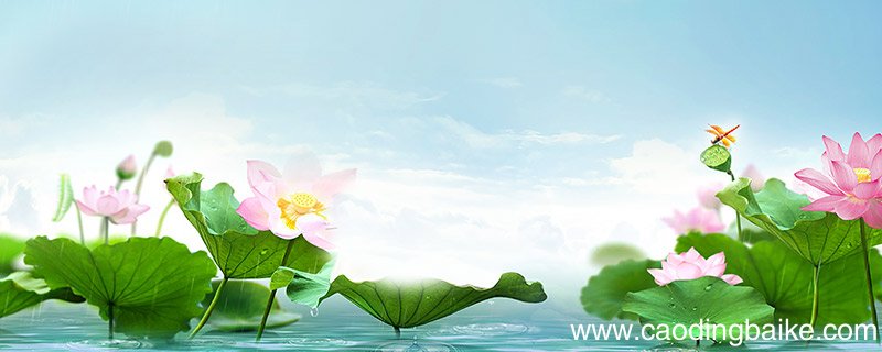 爱莲说带拼音版的 爱莲说原文加拼音