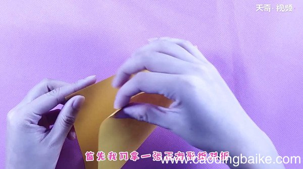 菠萝怎么折