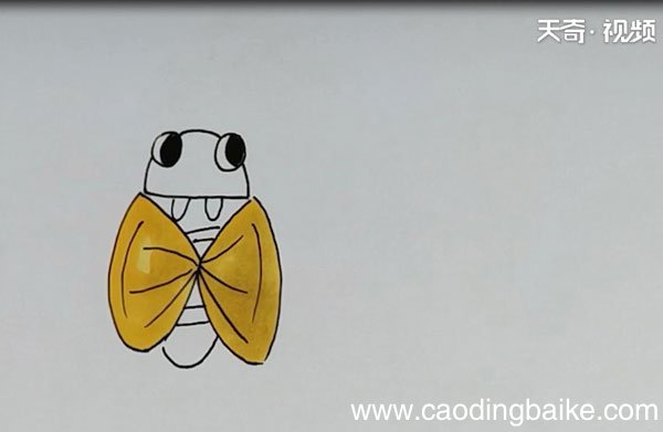粪金龟简笔画