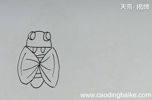 粪金龟简笔画