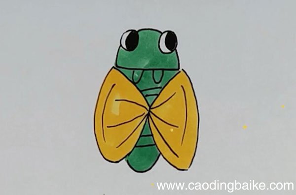 粪金龟简笔画