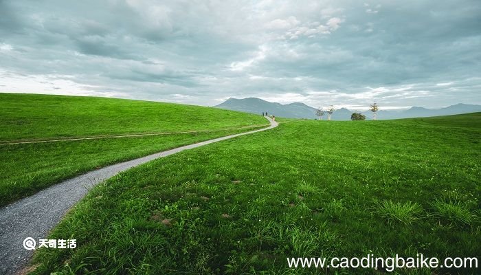 少壮不努力老大徒伤悲是谁说的 少壮不努力老大徒伤悲是谁说的名言