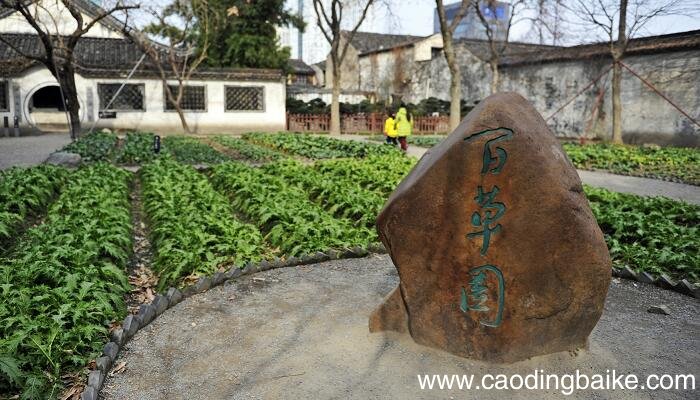 从百草园到三味书屋主旨 从百草园到三味书屋主题思想