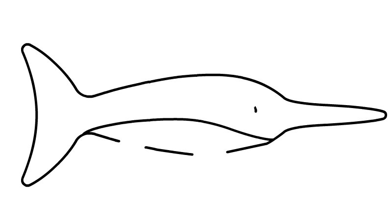 金枪鱼简笔画步骤金枪鱼简笔画画法