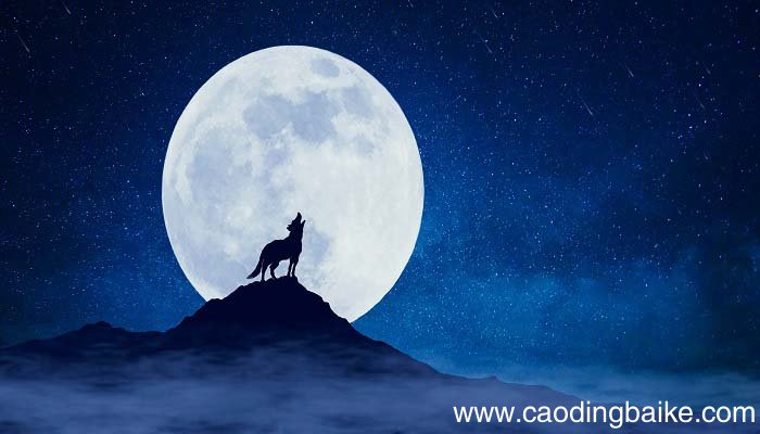 竖下视之气已绝矣翻译 竖下视之气已绝矣翻译句子