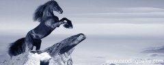 驰援的意思 驰援的意思有哪些
