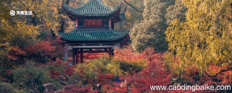 日出而林霏开云归而岩暝翻译 若夫日出而林霏开云归而岩暝翻译
