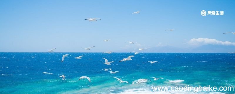 滚滚长江东逝水浪花淘尽英雄全诗 滚滚长江东逝水浪花淘尽英雄的全诗