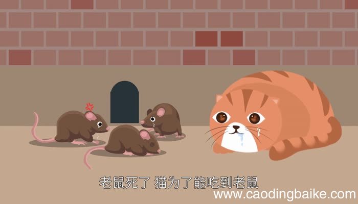 猫哭耗子歇后语 猫哭耗子歇后语下一句