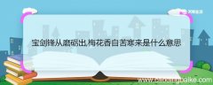 宝剑锋从磨砺出,梅花香自苦寒来是什么意思 宝剑锋从磨砺出,梅