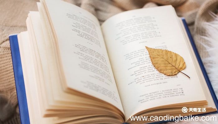 丑小鸭的故事 安徒生丑小鸭的故事