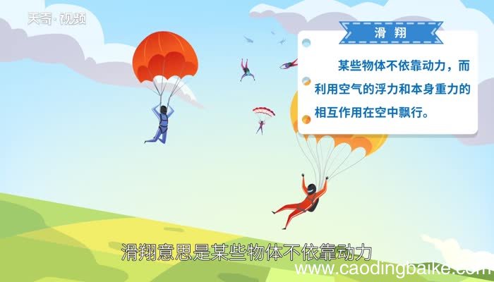 滑翔的意思 滑翔的意思解释