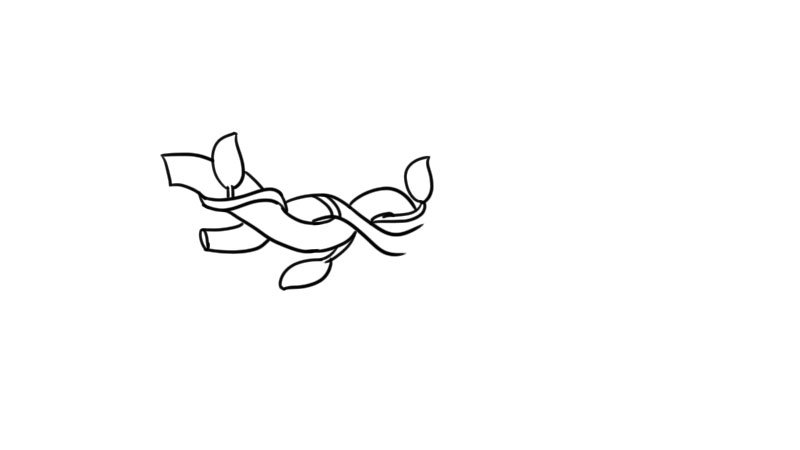 树藤简笔画怎么画怎么画树藤简笔画