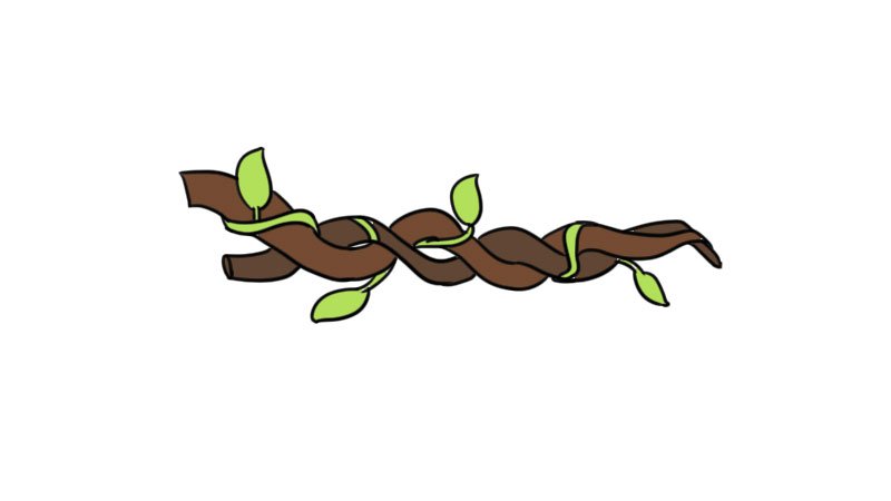 树藤简笔画怎么画怎么画树藤简笔画