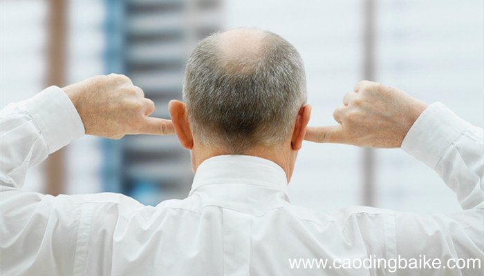 掩耳盗铃的意思 掩耳盗铃是什么意思