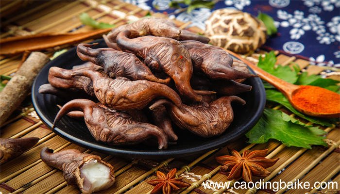 北人食菱告诉我们什么道理 北人食菱告诉我们什么哲学道理