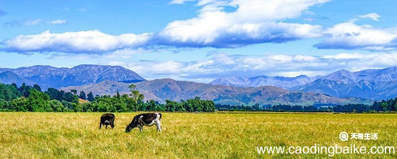 印度半岛地形特征 印度半岛的地形类型