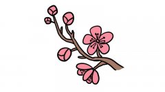 武汉樱花简笔画怎么画武汉樱花简笔画画法