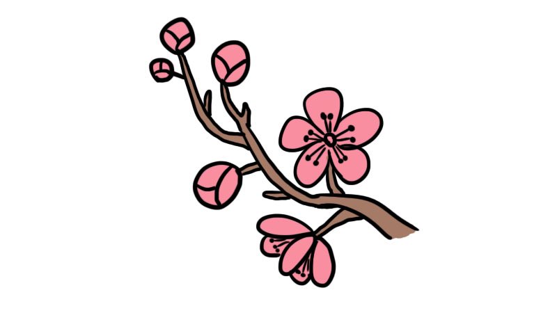 武汉樱花简笔画怎么画武汉樱花简笔画画法