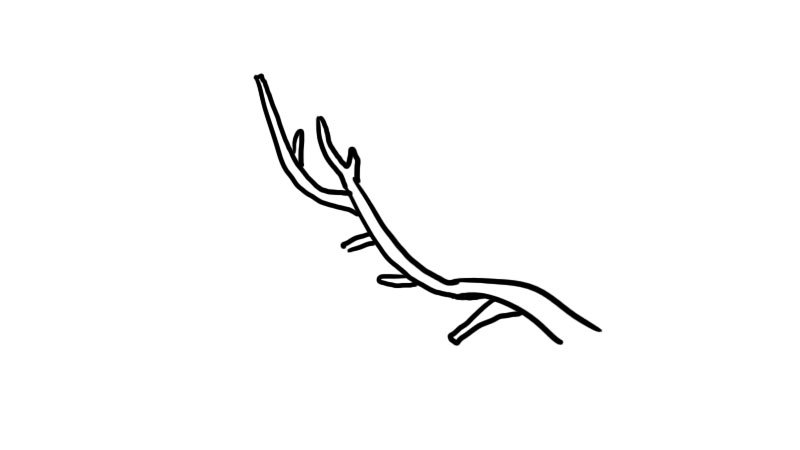 武汉樱花简笔画怎么画武汉樱花简笔画画法