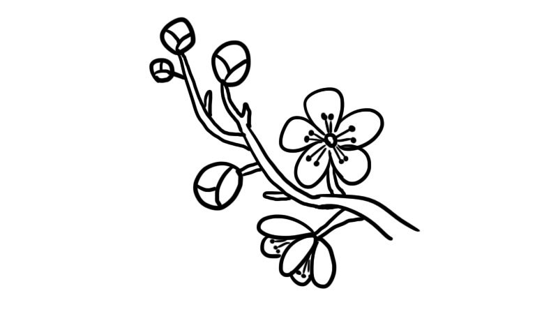 武汉樱花简笔画怎么画武汉樱花简笔画画法