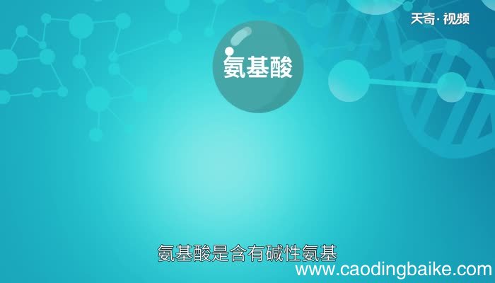 氨基酸是高分子化合物吗氨基酸属于高分子化合物吗