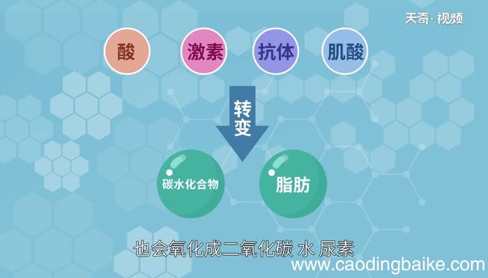 氨基酸是高分子化合物吗氨基酸属于高分子化合物吗