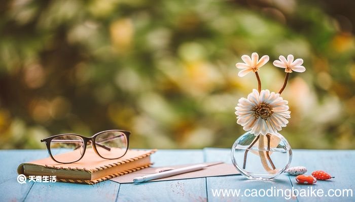 梅花鹿和老虎的故事告诉我们什么道理 老虎梅花鹿狐狸的哲理