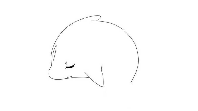 大鱼海棠简笔画