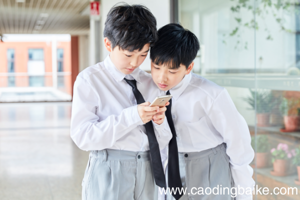 小学生使用手机的利与弊小学生应该有手机吗