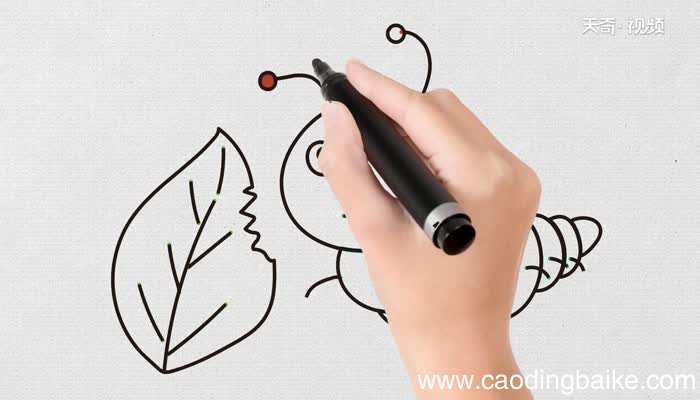 吃草的虫子简笔画教程吃草的虫子简笔画步骤