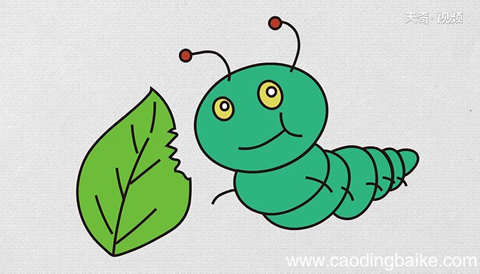 吃草的虫子简笔画教程吃草的虫子简笔画步骤