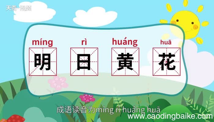 明日黄花的意思 明日黄花的意思是什么