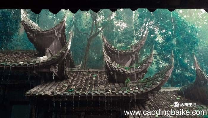 屋漏偏逢连夜雨船迟又遇打头风的意思 屋漏偏逢连夜雨船迟又遇打头风的意思是什么