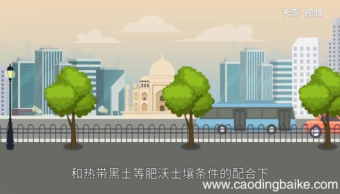 印度的地势特点印度的地势有什么特点