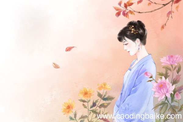 如梦令拼音版古诗如梦令翻译李清照